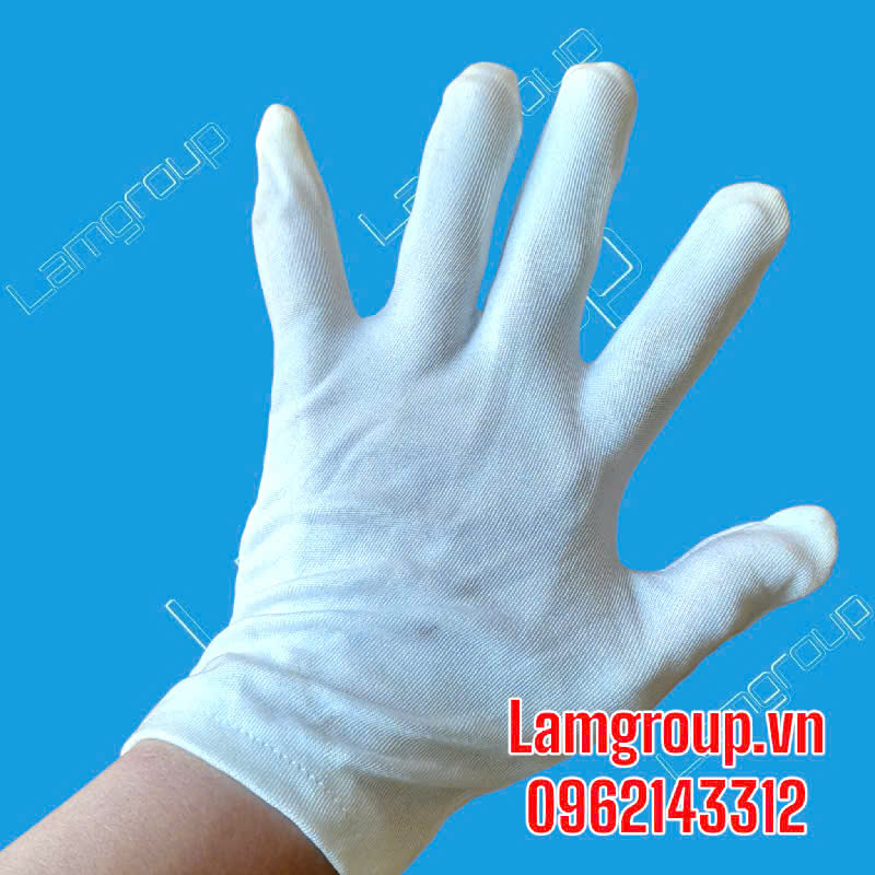 Sỉ găng tay cotton trắng giao hàng toàn quốc Sỉ găng tay cotton trắng giao hàng toàn quốc