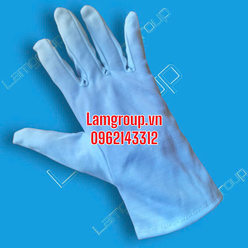 Sỉ găng tay cotton trắng giao hàng toàn quốc Sỉ găng tay cotton trắng giao hàng toàn quốc