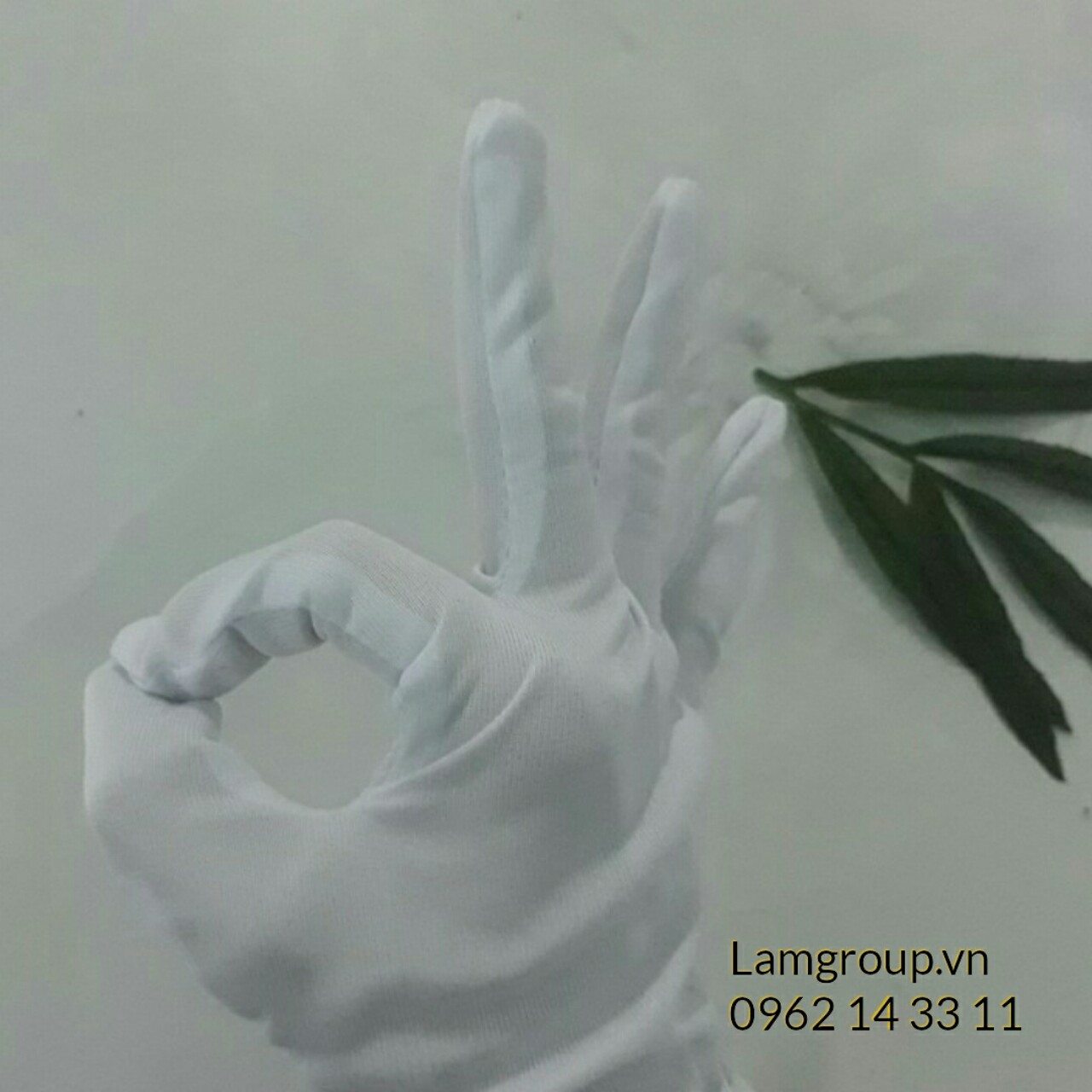 Găng tay vải trắng Găng tay vải trắng