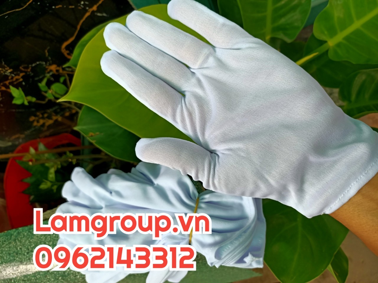 Bán sỉ Bao tay cotton trắng giá rẻ chiếc khấu cao Bán sỉ Bao tay cotton trắng giá rẻ chiếc khấu cao
