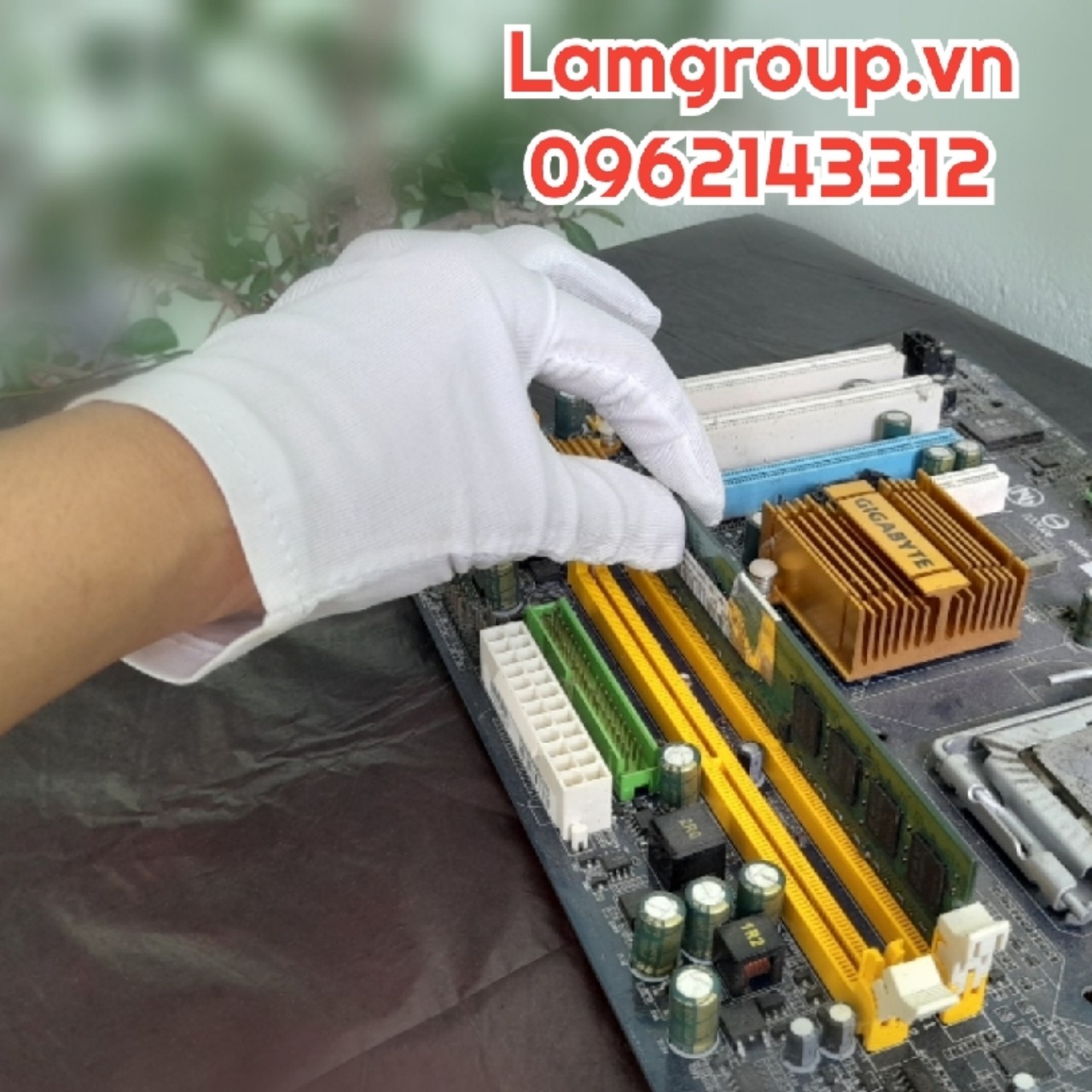 Bán buôn sỉ găng tay vải trắng tại TpHCM Bán buôn sỉ găng tay vải trắng tại TpHCM