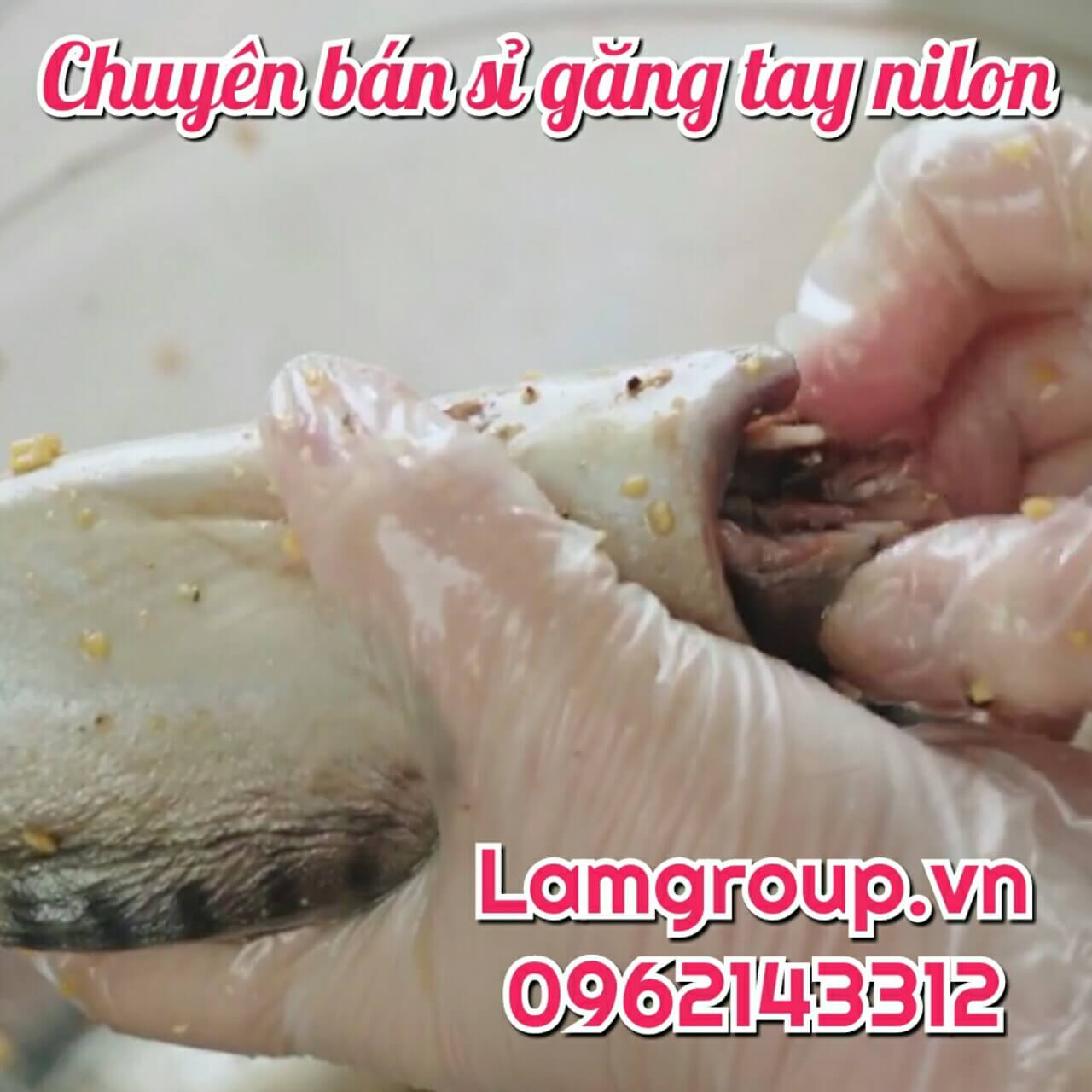 ỨNG DỤNG GĂNG TAY NILON  ỨNG DỤNG GĂNG TAY NILON