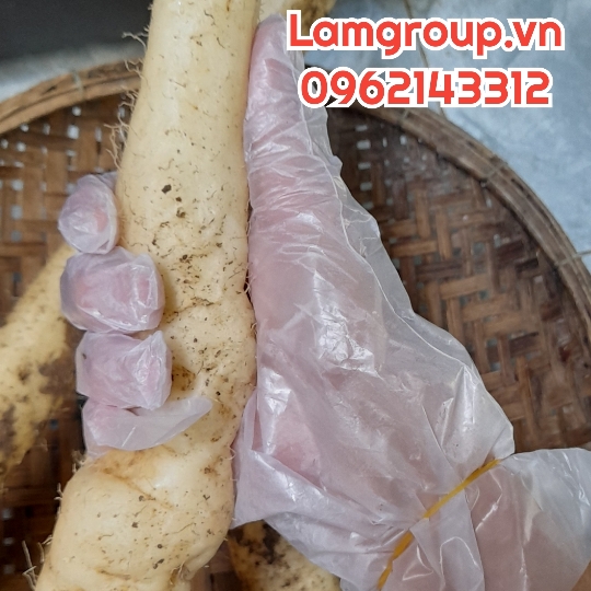 Găng tay nilon dùng một lần: Lựa chọn tiện lợi và an toàn cho mọi công việc Găng tay nilon dùng một lần: Lựa chọn tiện lợi và an toàn cho mọi công việc