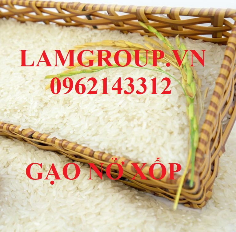 ĐỊA CHỈ BÁN LƯƠNG THỰC THỰC PHẨM GIÁ SỈ ĐỊA CHỈ BÁN LƯƠNG THỰC THỰC PHẨM GIÁ SỈ