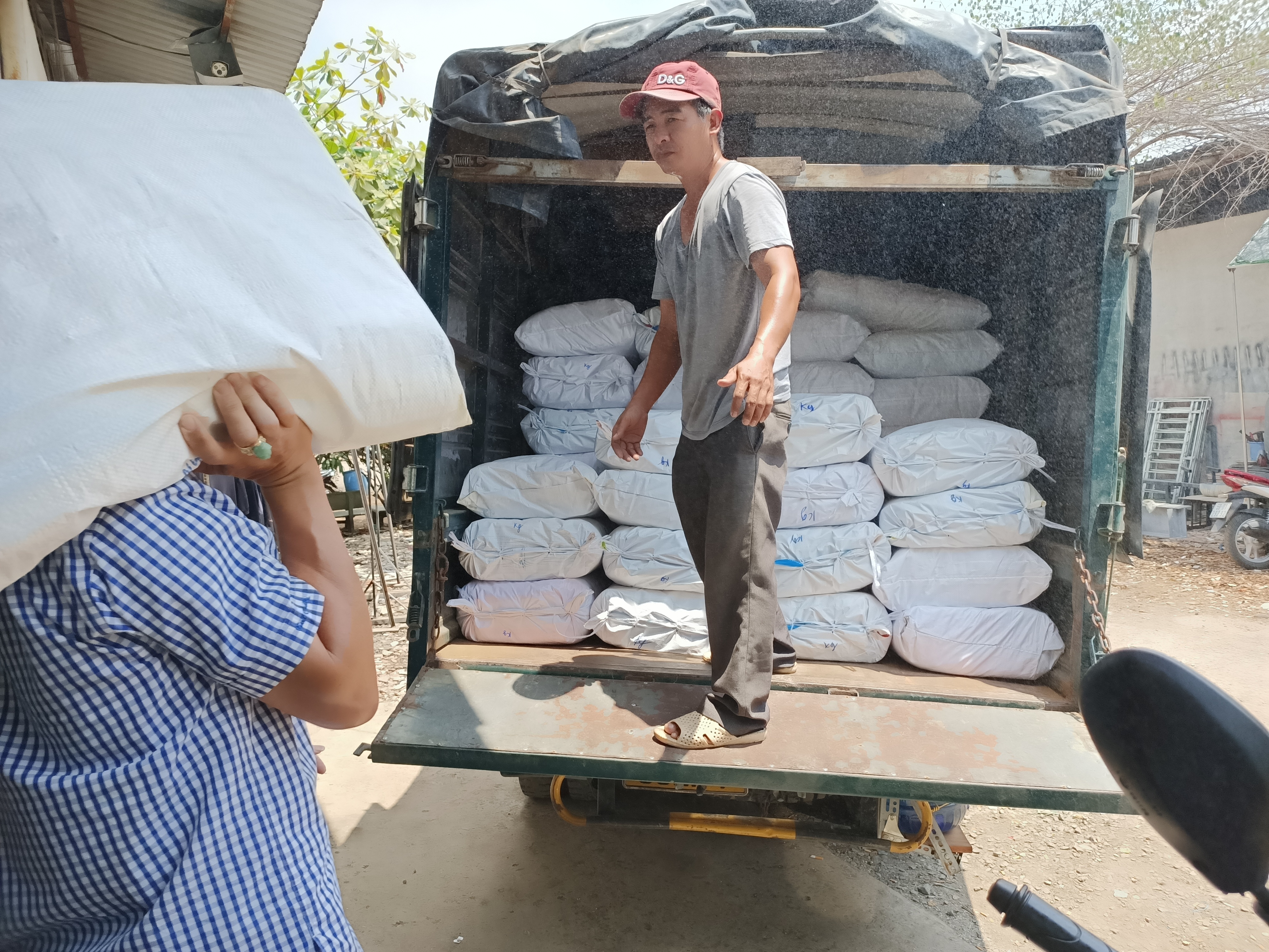 Nhà xưởng sản xuất Găng tay nilon nhựa TPE dùng một lần cho ngành Thực phẩm và Thủy hải sản và Công nghiệp Giá bán sỉ rẻ nhất chợ Lớn Sài Gòn Nhà xưởng sản xuất Găng tay nilon nhựa TPE dùng một lần cho ngành Thực phẩm và Thủy hải sản và Công nghiệp Giá bán sỉ rẻ nhất chợ Lớn Sài Gòn