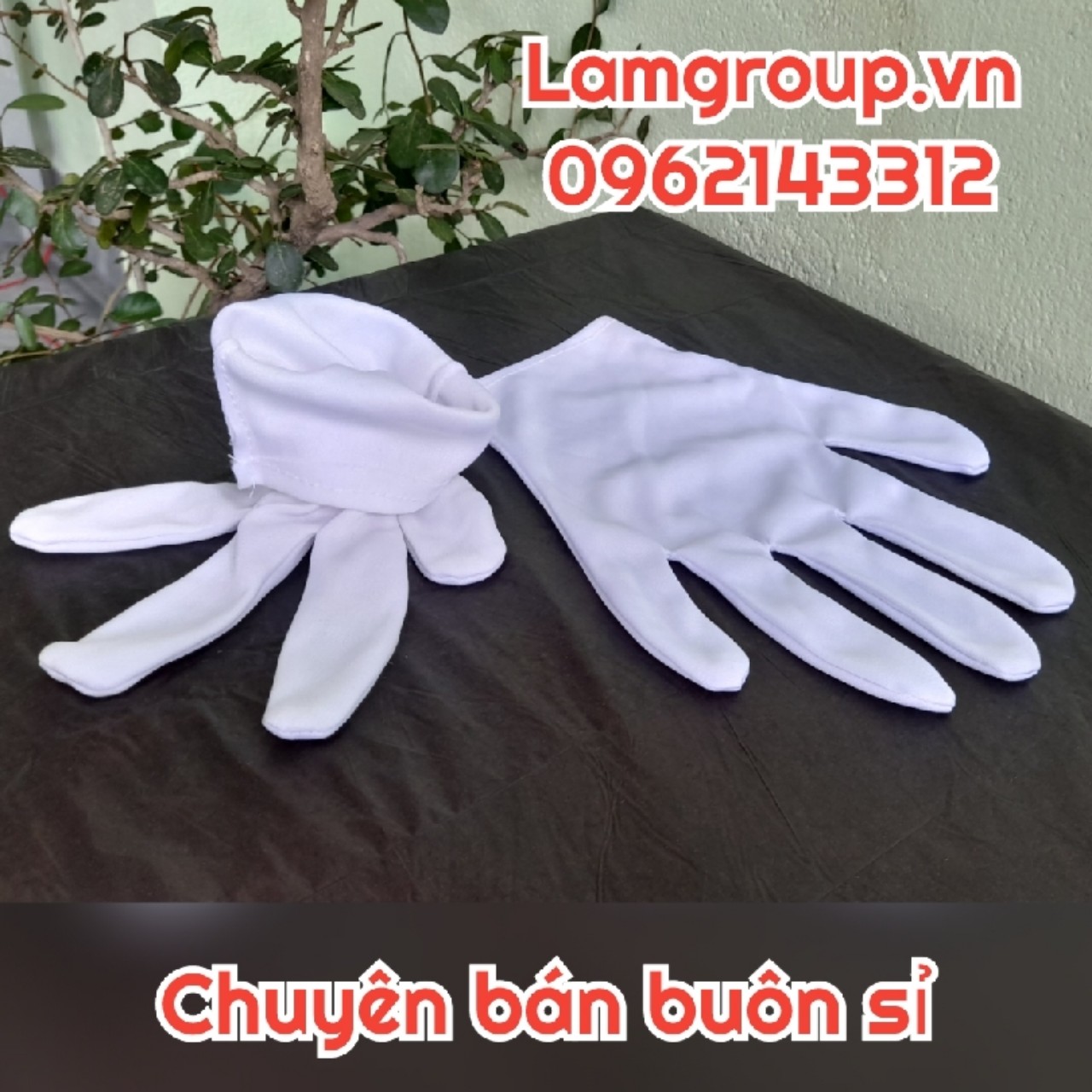 Bán buôn sỉ găng tay vải trắng tại TpHCM Bán buôn sỉ găng tay vải trắng tại TpHCM