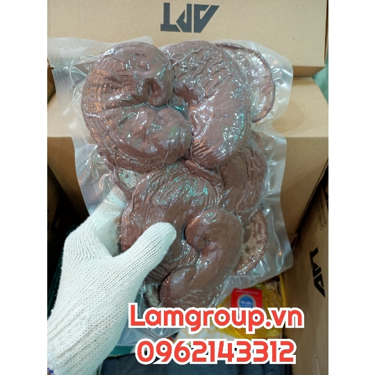 Xưởng cung cấp găng tay len trắng cho ngành hàn giá tốt tại TP.HCM Xưởng cung cấp găng tay len trắng cho ngành hàn giá tốt tại TP.HCM