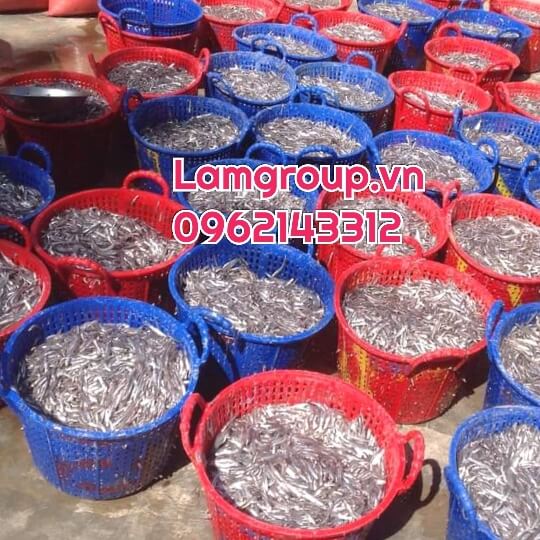 ĐỊA CHỈ CHUYÊN GIA CÔNG NƯỚC MẮM TRUYỀN THỐNG CHẤT LƯỢNG -UY TÍN ĐỊA CHỈ CHUYÊN GIA CÔNG NƯỚC MẮM TRUYỀN THỐNG CHẤT LƯỢNG -UY TÍN