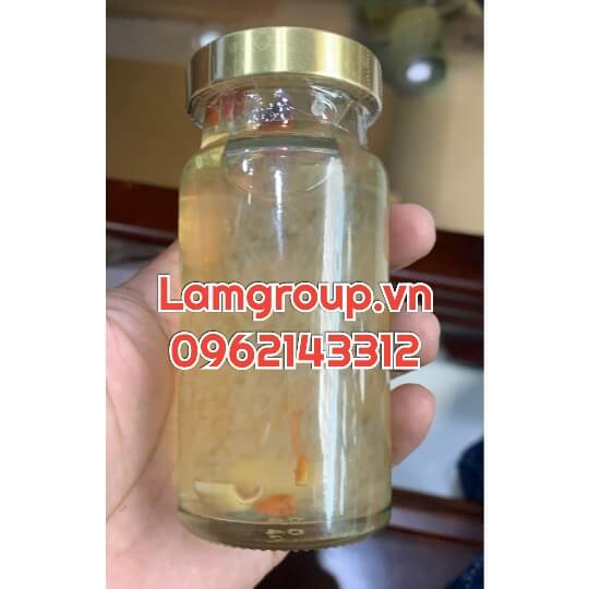 NƠI GIA CÔNG NƯỚC YẾN SÀO GIÁ RẺ - GIA CÔNG SỐ LƯỢNG LỚN NƠI GIA CÔNG NƯỚC YẾN SÀO GIÁ RẺ - GIA CÔNG SỐ LƯỢNG LỚN