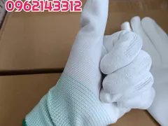 Găng tay sợi poly trắng giá rẻ tháng 5 tại TP.HCM
