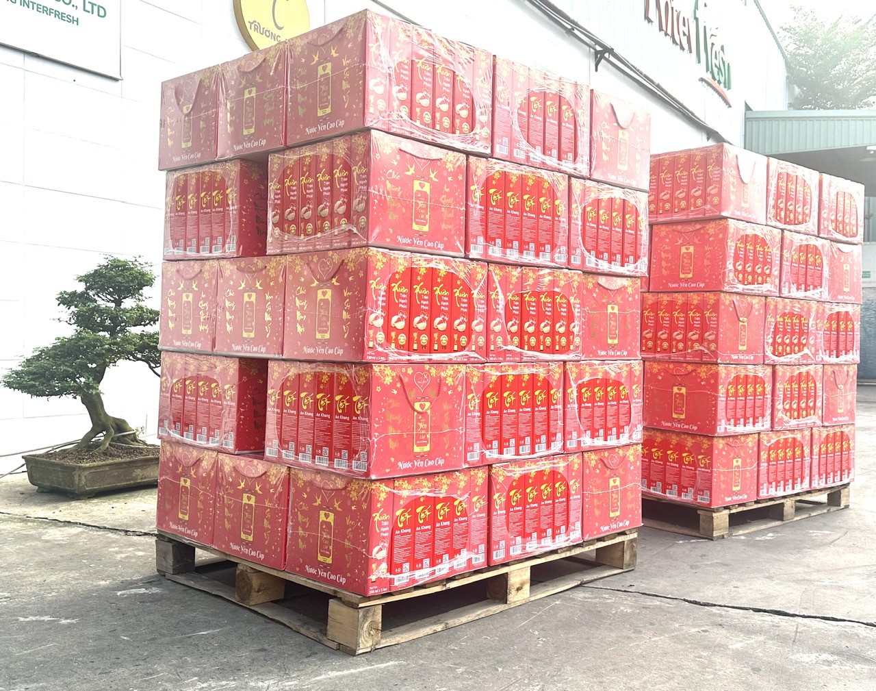 Đơn vị nhà cung cấp sỉ set giỏ quà tết 2024 giáp thìn nước yến sào tổ yến cao cấp Lamgroup Đơn vị nhà cung cấp sỉ set giỏ quà tết 2024 giáp thìn nước yến sào tổ yến cao cấp Lamgroup