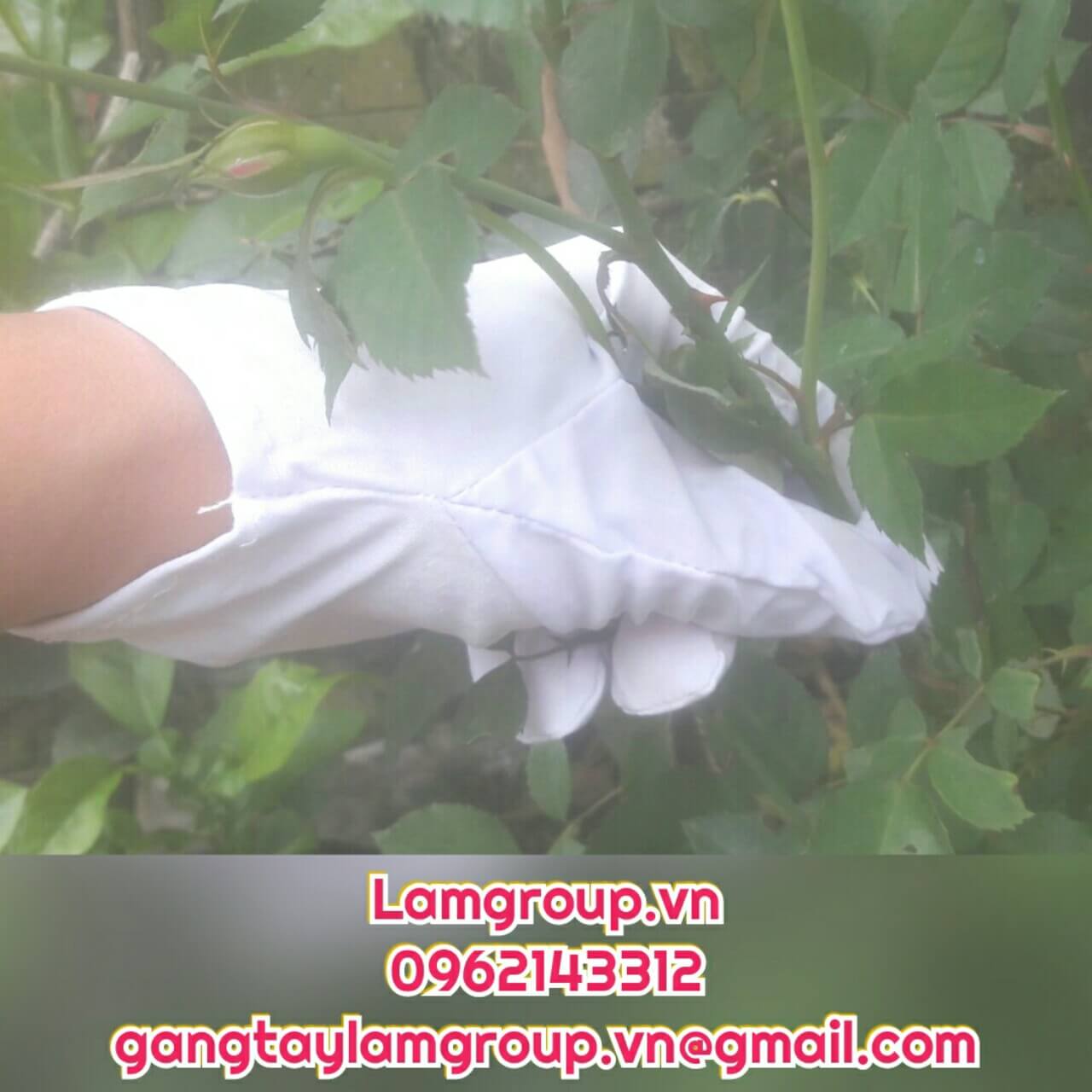 Nhà phân phối găng tay vải mỏng trắng giá rẻ cho các xưởng sản xuất tại Tp.HCM Nhà phân phối găng tay vải mỏng trắng giá rẻ cho các xưởng sản xuất tại Tp.HCM