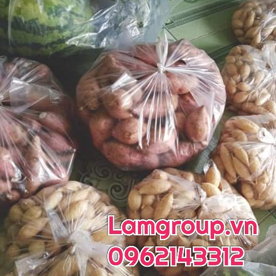 Phân phối bao bì nilon có quai tận xưởng giá rẻ bất ngờ Phân phối bao bì nilon có quai tận xưởng giá rẻ bất ngờ