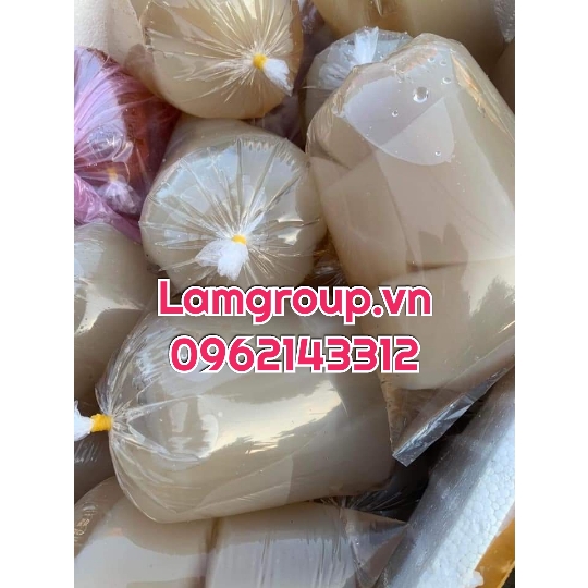 Bán sỉ túi nilong trong suốt giá rẻ tại TP.HCM Bán sỉ túi nilong trong suốt giá rẻ tại TP.HCM