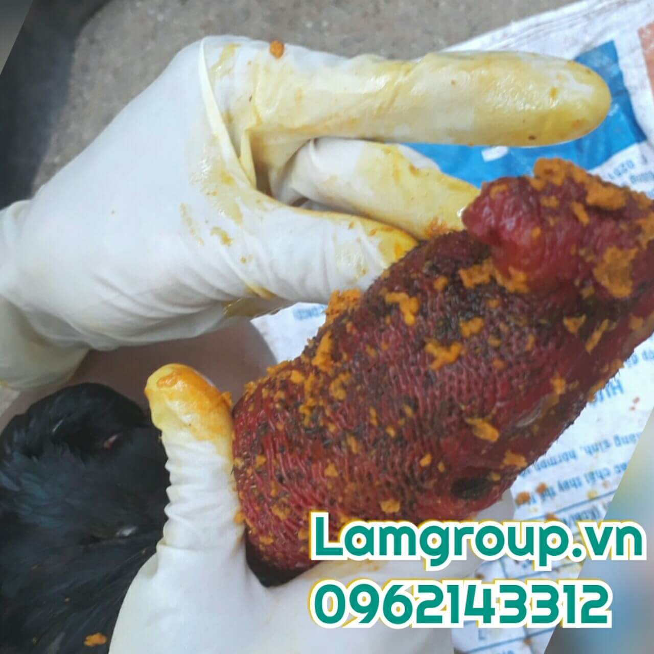 Những tác hại khi đeo găng tay y tế trong thời gian dài liên tục Những tác hại khi đeo găng tay y tế trong thời gian dài liên tục