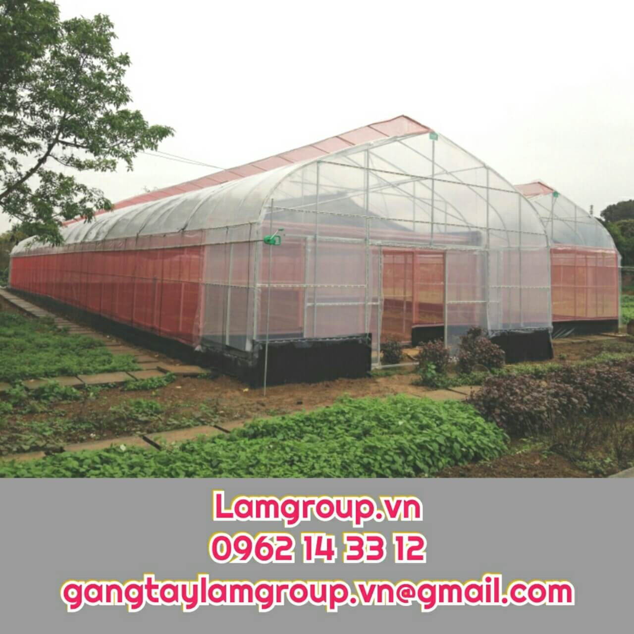 CÔNG TY CUNG CẤP MÀNG PE GIÁ SỈ LỚN NHẤT TP.HCM CÔNG TY CUNG CẤP MÀNG PE GIÁ SỈ LỚN NHẤT TP.HCM