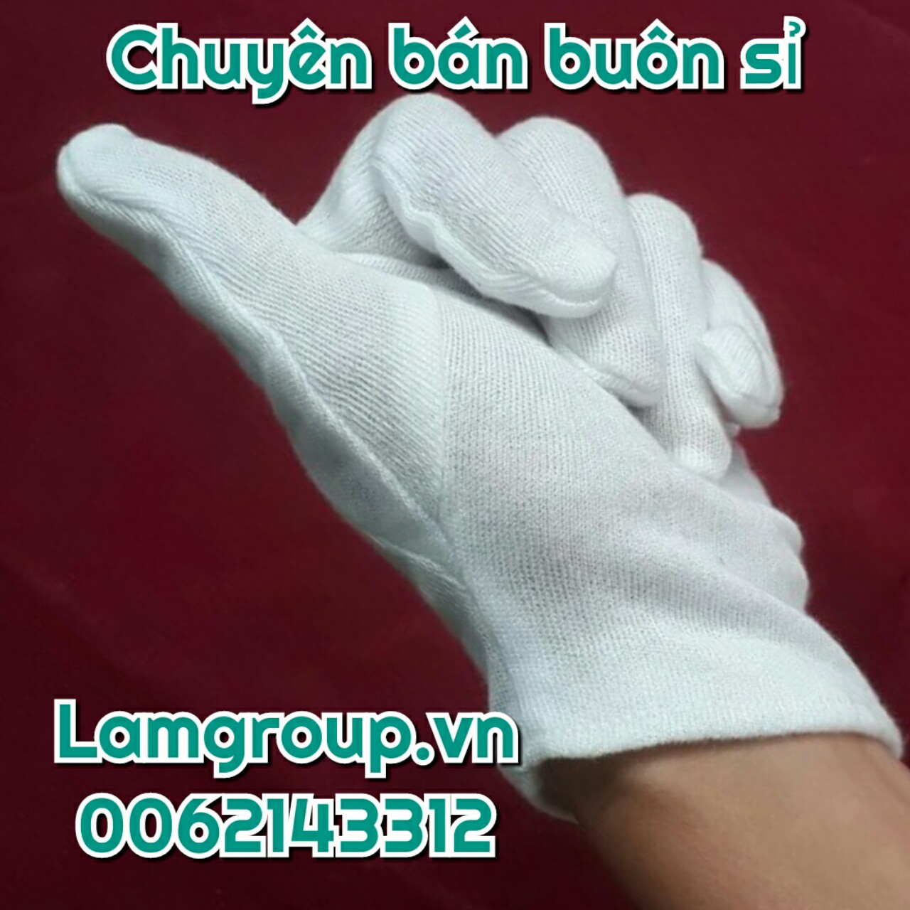 Găng tay vải trắng TL-PET-PE-T9-RKT8 Găng tay vải trắng TL-PET-PE-T9-RKT8