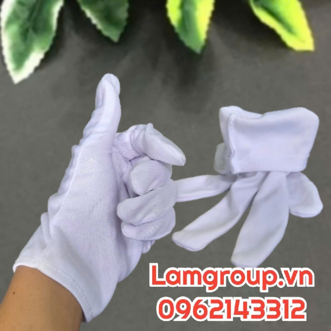 Xưởng sản xuất găng tay vải cotton trắng giá rẻ tại tp.HCM Xưởng sản xuất găng tay vải cotton trắng giá rẻ tại tp.HCM