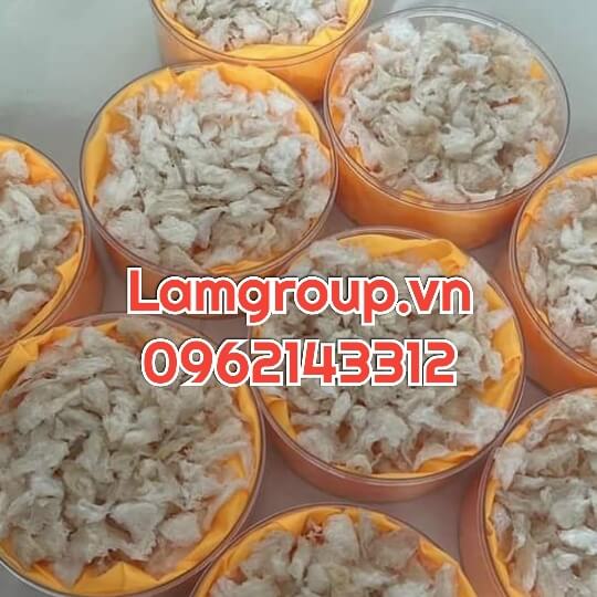 TỔ YẾN RÚT LÔNG- NGUYÊN 100%- GIÁ RẺ TÍNH LẠNG TỔ YẾN RÚT LÔNG- NGUYÊN 100%- GIÁ RẺ TÍNH LẠNG
