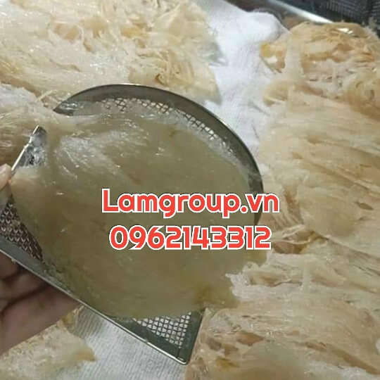 TỔ YẾN RÚT LÔNG, NGUYÊN 100%, GIÁ RẺ TÍNH LẠNG, KG TỔ YẾN RÚT LÔNG, NGUYÊN 100%, GIÁ RẺ TÍNH LẠNG, KG