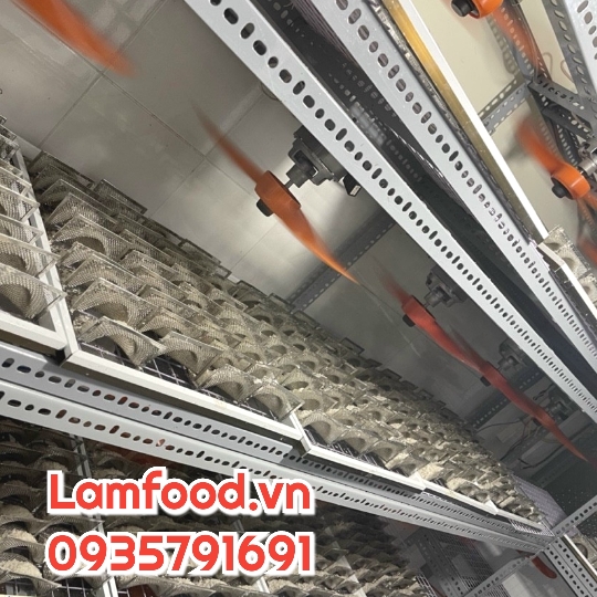 GIA CÔNG BỎ SỈ TỔ YẾN NGUYÊN CHẤT CHO NHÀ MÁY CÔNG TY CHẾ BIẾN GIA CÔNG BỎ SỈ TỔ YẾN NGUYÊN CHẤT CHO NHÀ MÁY CÔNG TY CHẾ BIẾN