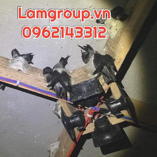 CÔNG TY CUNG CẤP SỈ LẺ YẾN SÀO NGUYÊN CHẤT - YẾN LON CÔNG TY CUNG CẤP SỈ LẺ YẾN SÀO NGUYÊN CHẤT - YẾN LON