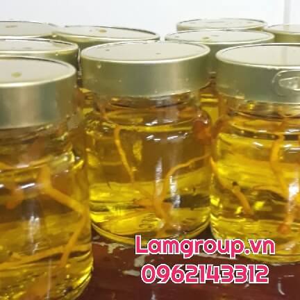 NGUỒN HÀNG YẾN SỈ - YẾN SÀO LÀM QUÀ BIẾU TẶNG GIÁ TỐT NGUỒN HÀNG YẾN SỈ - YẾN SÀO LÀM QUÀ BIẾU TẶNG GIÁ TỐT