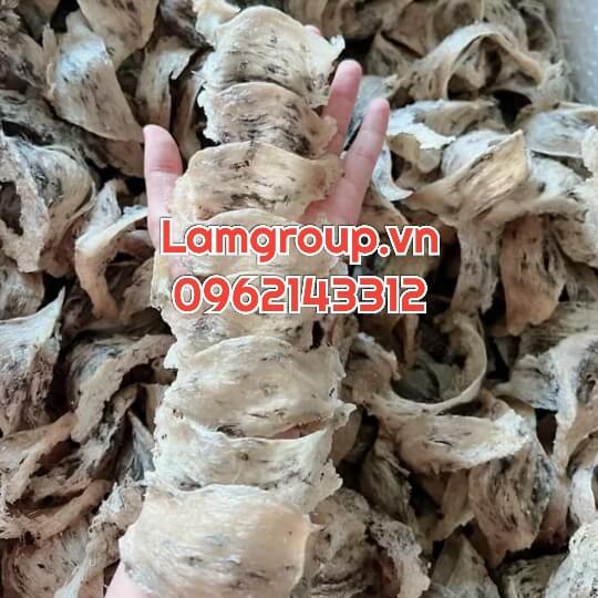 TỔ YẾN RÚT LÔNG- NGUYÊN 100%- GIÁ RẺ TÍNH LẠNG TỔ YẾN RÚT LÔNG- NGUYÊN 100%- GIÁ RẺ TÍNH LẠNG