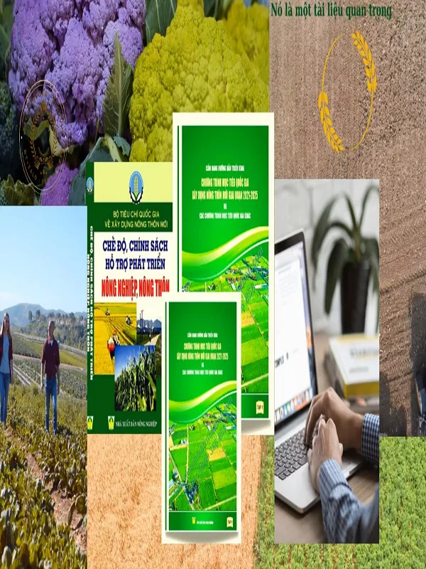 Nâng cao chương trình mục tiêu Quốc gia xây dựng nông thôn mới