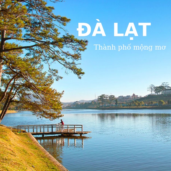 Dịch Vụ Thuê Xe Đà Lạt Đi Nha Trang: Xe Đời Mới, Giá Tốt Nhất 2025