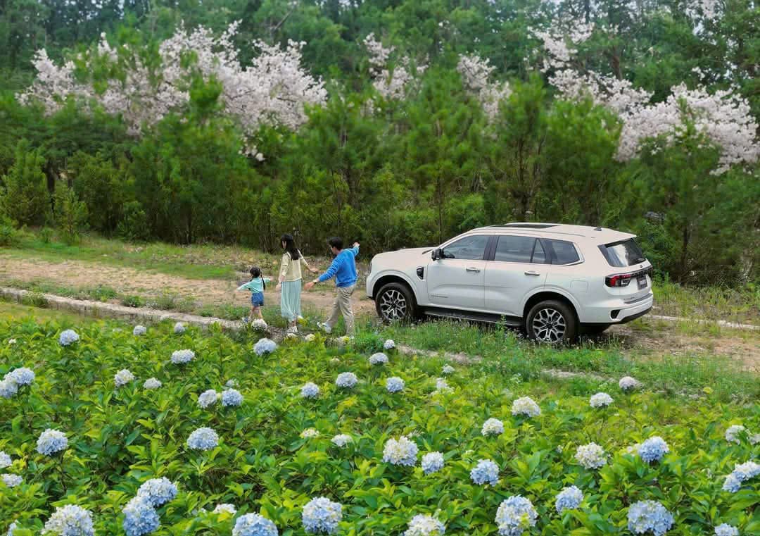 Giá Thuê Xe 7 Chỗ từ Vũng Tàu đi Đà Lạt