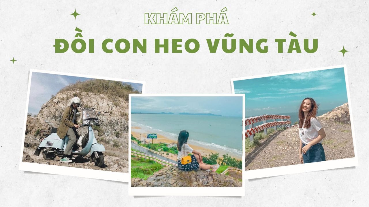 Đồi Con Heo: