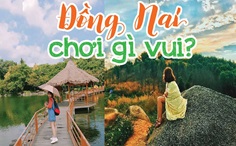 Thuê Xe Đi Đồng Nai