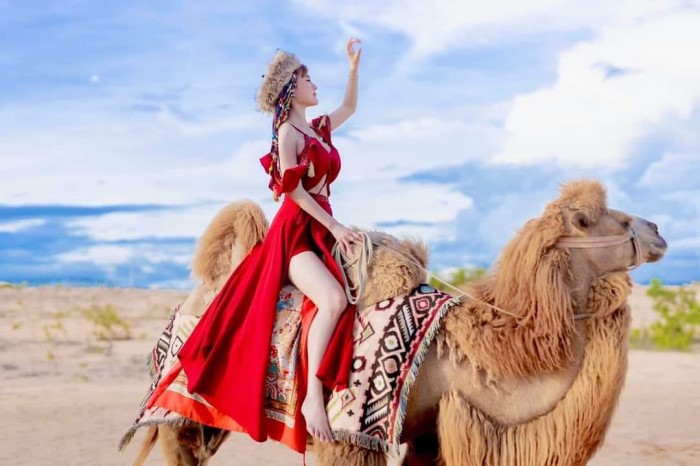 Tạo dáng chụp ảnh với lạc đà