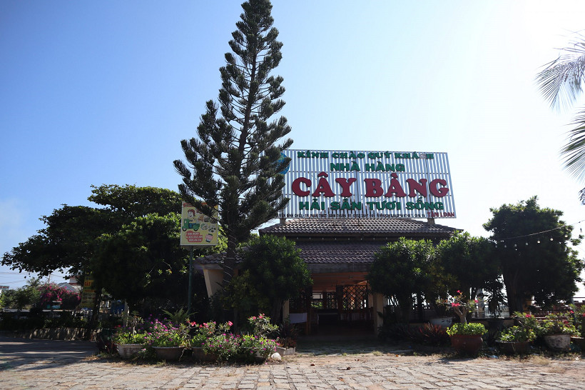 Nhà hàng cây bàng, lựa chọn của tín đồ ghiền hải sản tươi sống