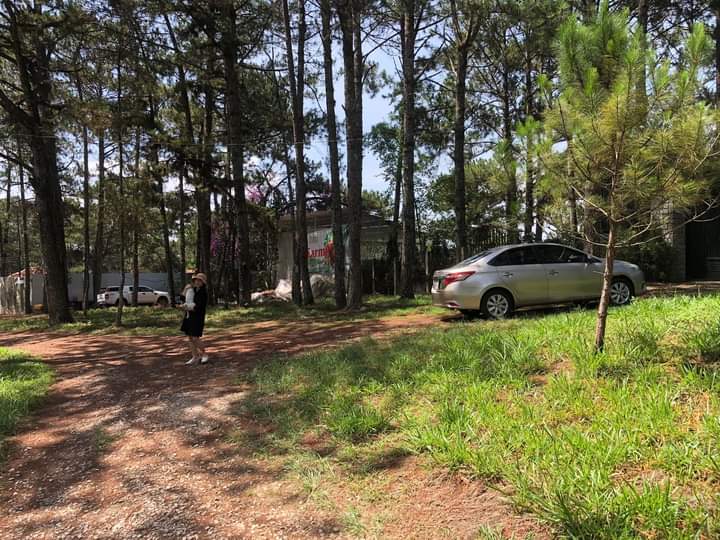 Bạn đang không biết giá thuê xe 4 chỗ tại Đà Lạt, Lâm Đồng, tại TPHCM bao nhiêu?