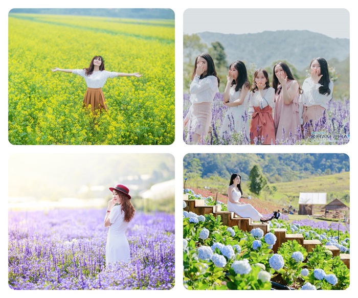 Thuê Xe Du Lịch Đà Lạt - Khám Phá Những Điểm Đến Hấp Dẫn