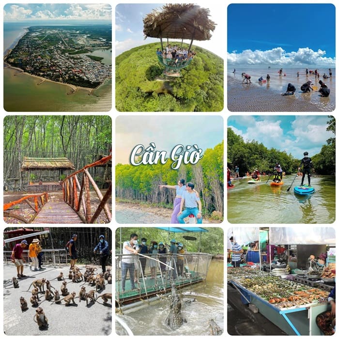 Du lịch Cần Giờ Có Gì Hấp Dẫn?