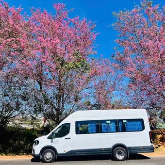 Thuê Xe 18 Chỗ Đời Mới Đi Mũi Né Phan Thiết Giá Ưu Đãi