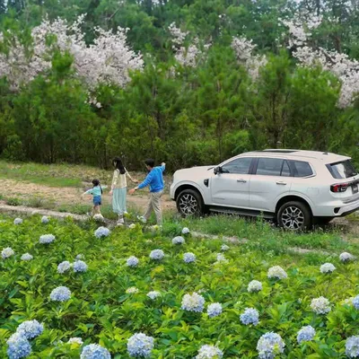 Thuê Xe 7 Chỗ Đi Đà Lạt - Giá Rẻ, Xe Mới, Đưa Đón Tận Nơi