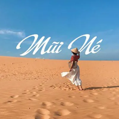 Thuê Xe Đi Meraki Oasis Mũi Né|Đưa Đón Khách Tận Nhà