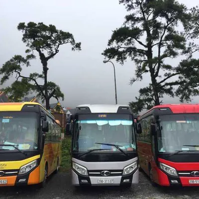 Xe Hợp Đồng 29 Chỗ Đi Vũng Tàu Gái Rẻ Trọn Gói