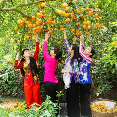 Thuê Xe Sài Gòn Đi Mỹ Tho, Tiền Giang