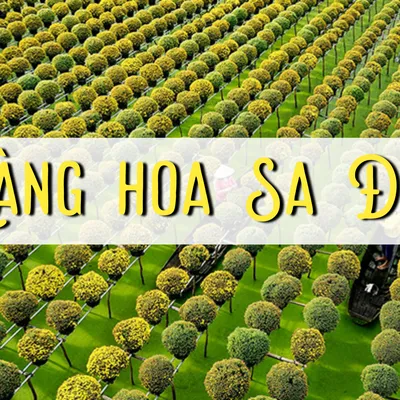 Thuê Xe Đi Đồng Tháp