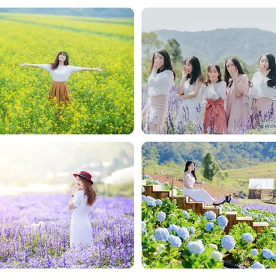 Thuê Xe 4 Chỗ Đi Đà Lạt Giá Rẻ Trọn Gói [Gọi 0847070777]