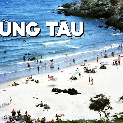 Xe Hợp Đồng 29 Chỗ Đi Vũng Tàu Gái Rẻ Trọn Gói