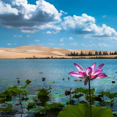 Tour Du Lịch Mũi Né Giá Rẻ Trọn Gói Chỉ 600K