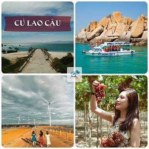 Tour 1 Ngày Thăm Quan: Cù Lao Câu - Vườn Nho - Cánh Đồng Quạt Gió Từ Mũi Né
