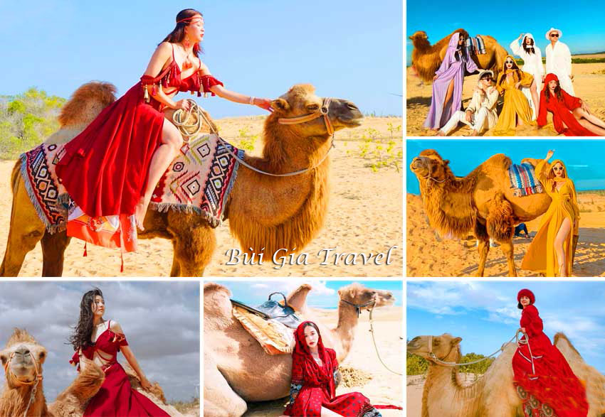 Check-in Đồi Cát Trắng với Lạc Đà