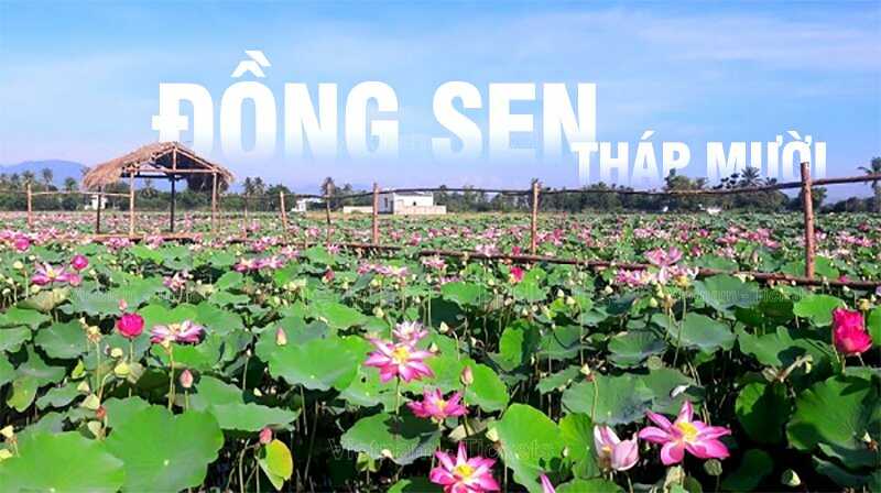 DỊCH VỤ CHO THUÊ XE TỪ SÀI GÒN ĐỒNG THÁP ĐÓN KHÁCH TẬN NHÀ